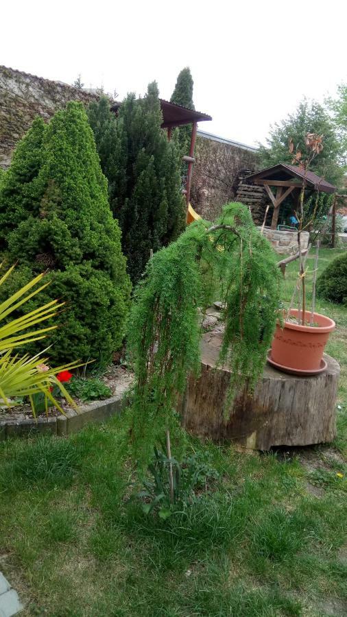 Penzion U Formana Stráž nad Nežárkou Exteriér fotografie